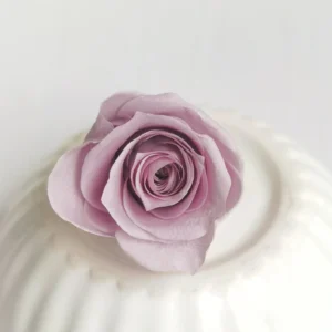 Medium Preserved Roses – Exclusive Lavender Dream Collection (Single)
