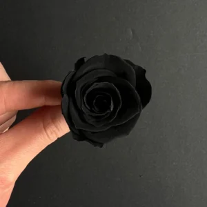 Medium Preserved Roses – Exclusive Midnight Black Collection (Single)